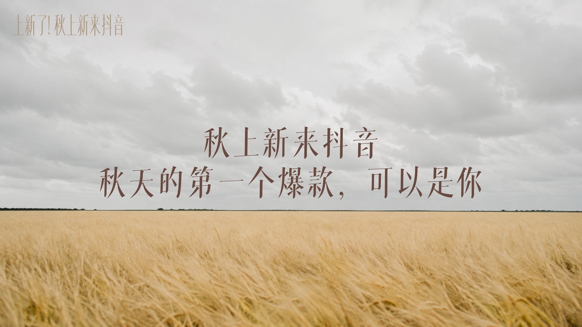 抖音秋上新招商 PPT 视觉方向探索 1-4