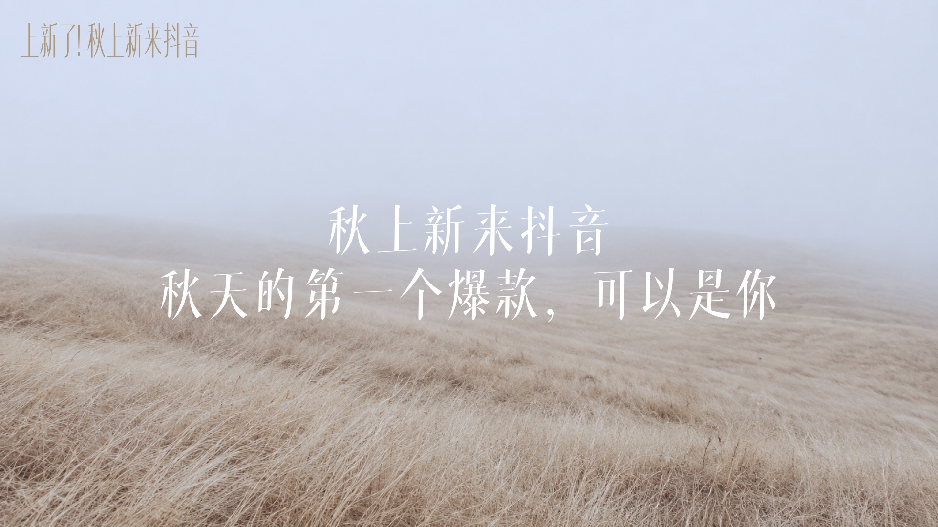抖音秋上新招商 PPT 视觉方向探索 2-3