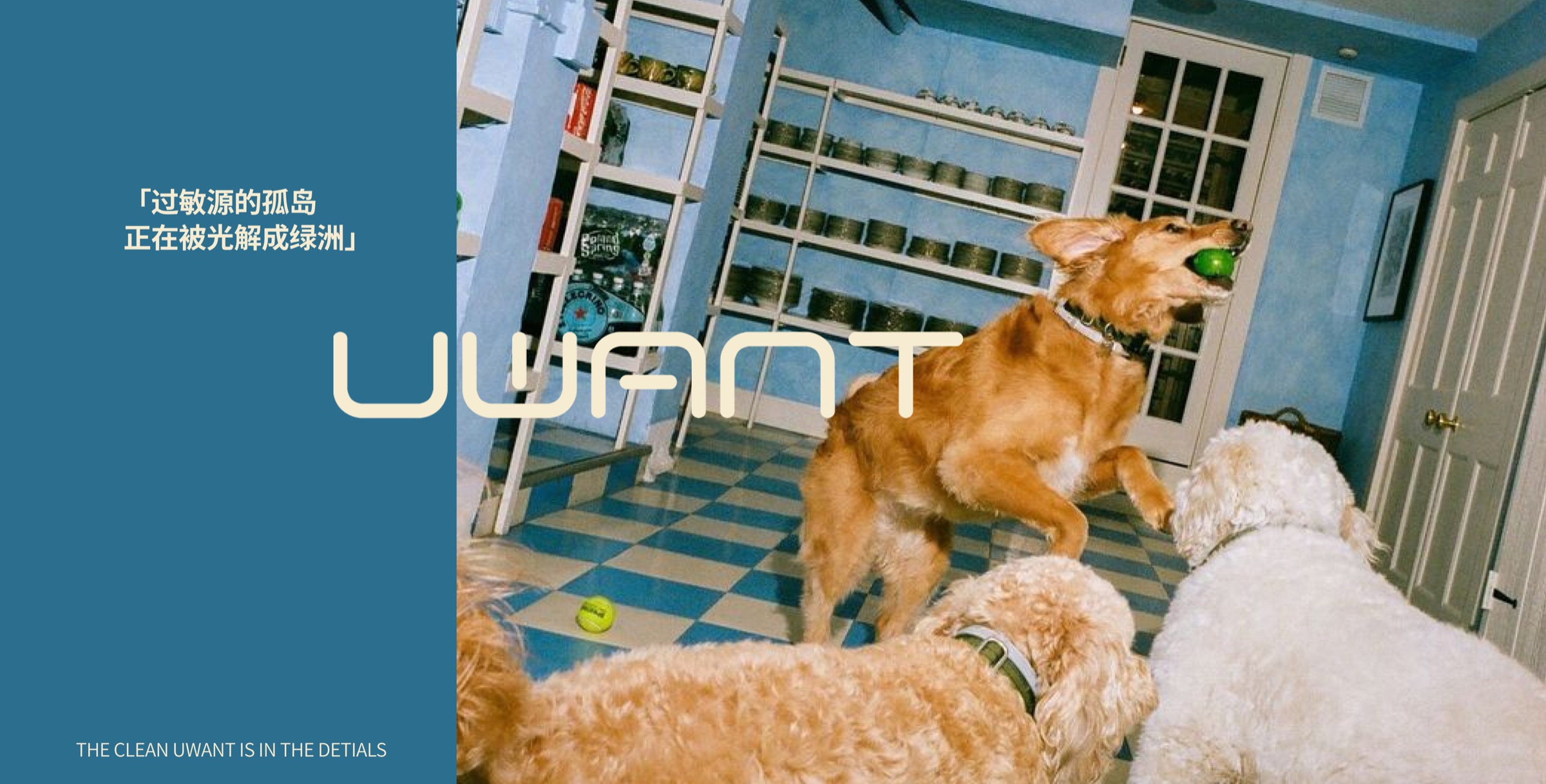UWANT 生活美学家品牌视觉方向 17